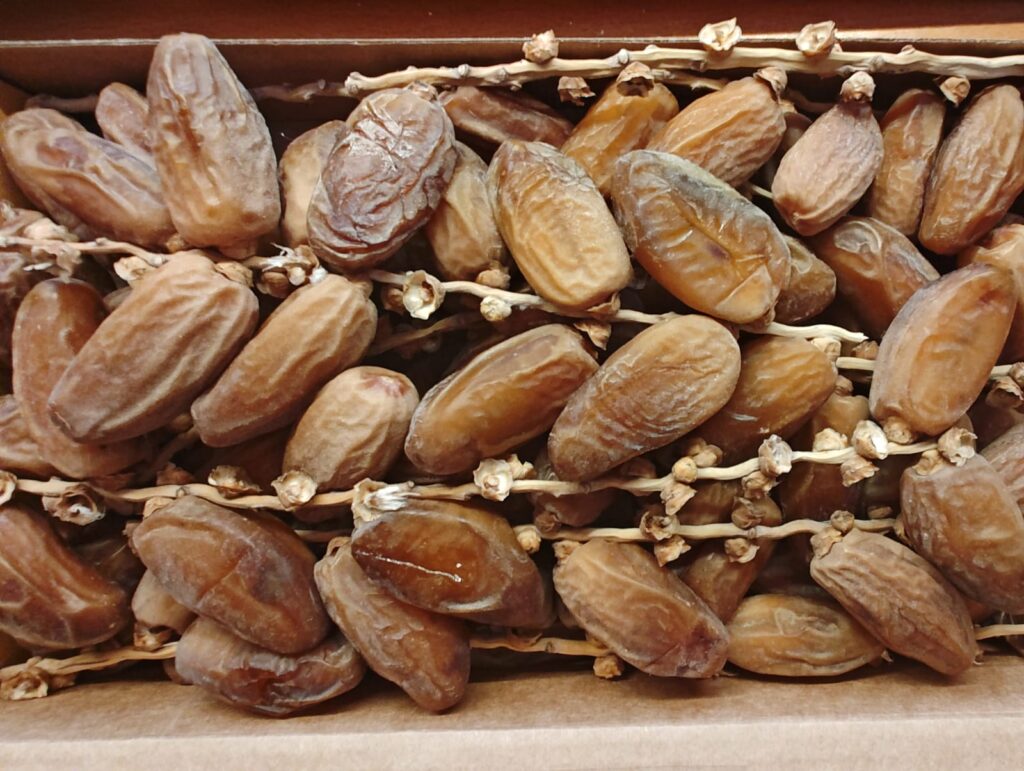 Introduction of Deglet Noor dates