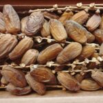 Introduction of Deglet Noor dates