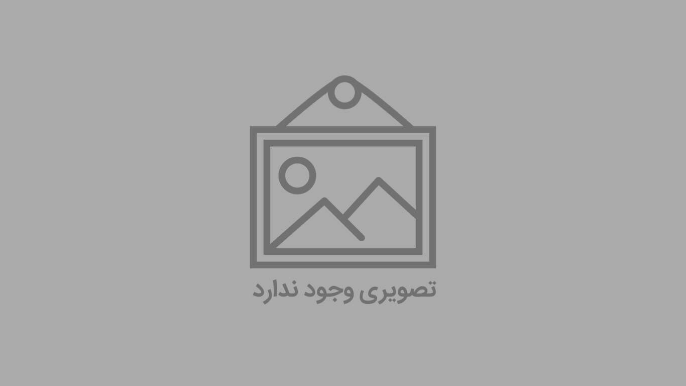 Datteri Mazafati dall’Iran | Esportazione e forniture all’ingrosso