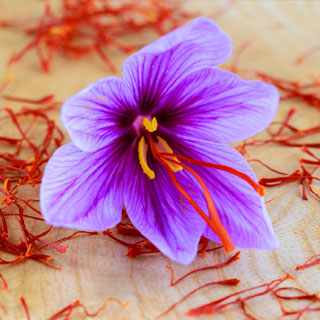 Iranian saffron